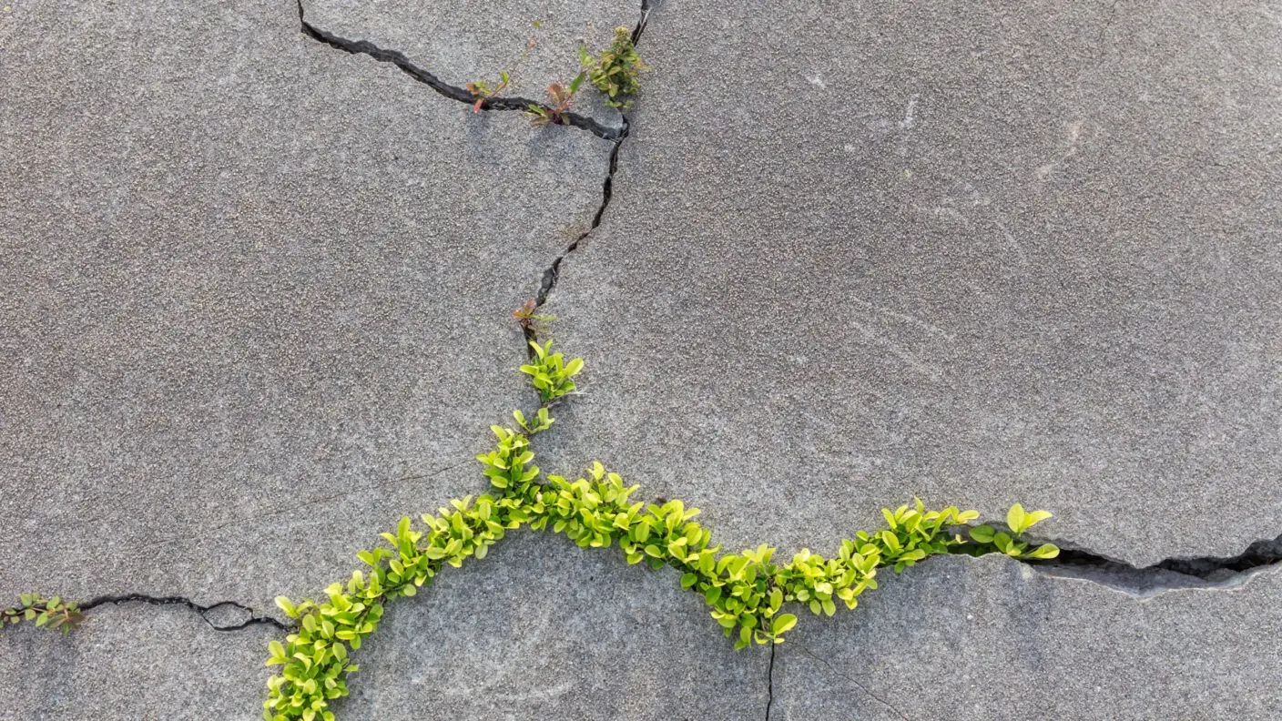 Self-Healing-Concrete